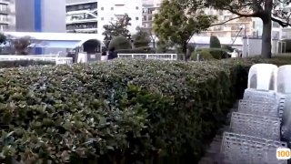 亚洲国产a自拍🔞⭕❌⭕❌好看有剧情的日本动漫